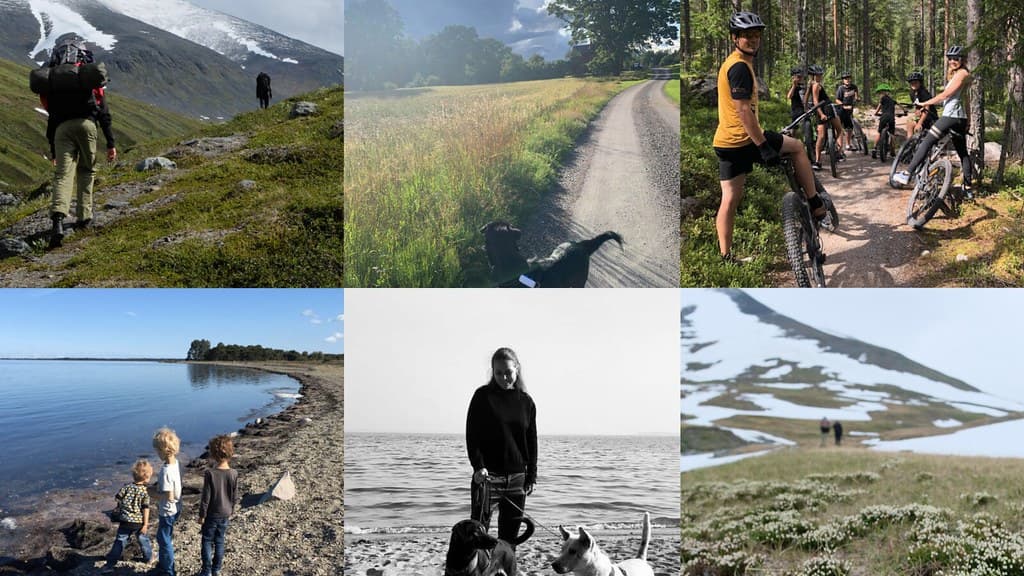 Summer postcards collage