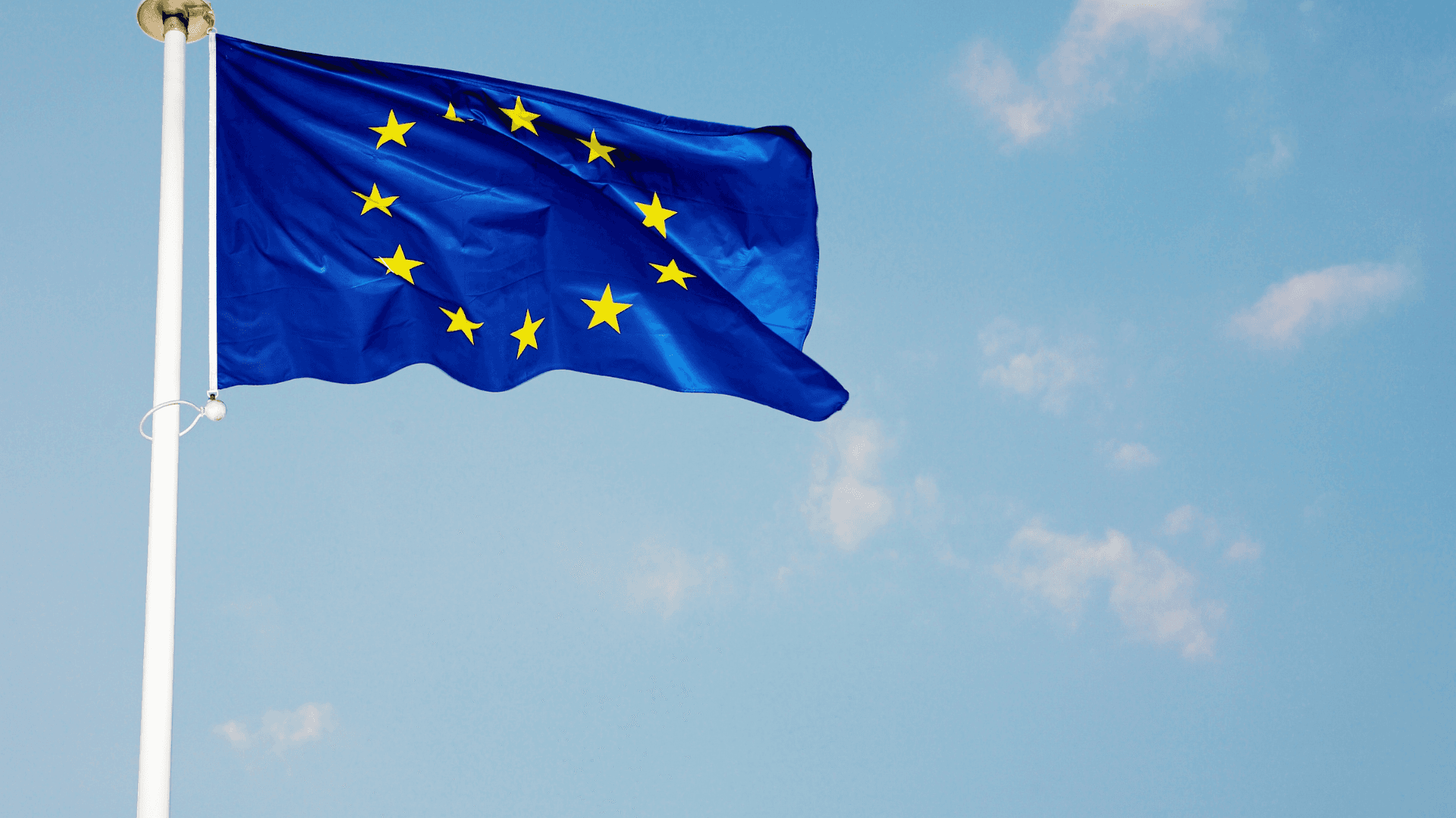 EU flag.