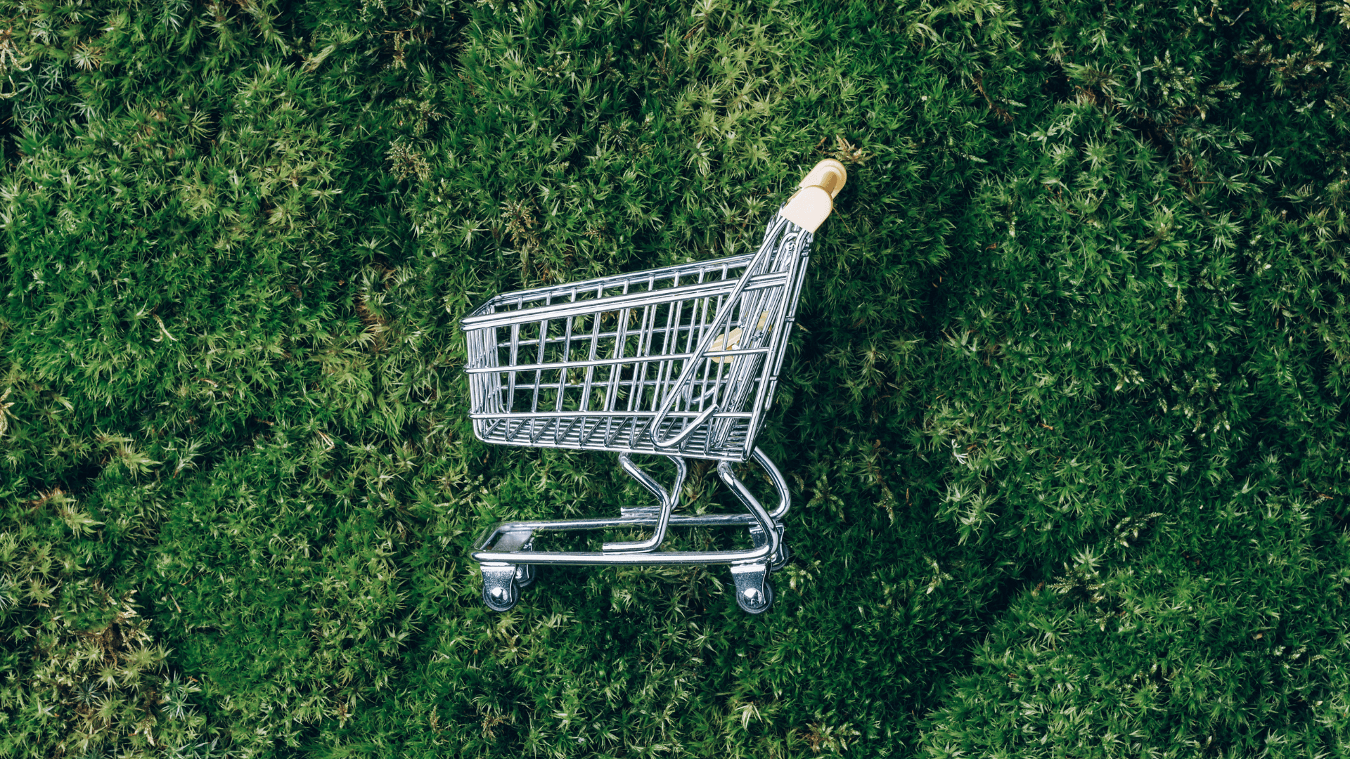 Shopping cart.
