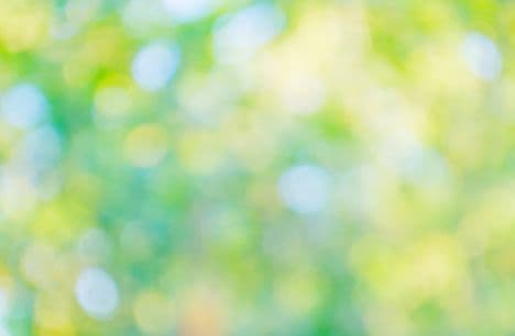 Green nature background