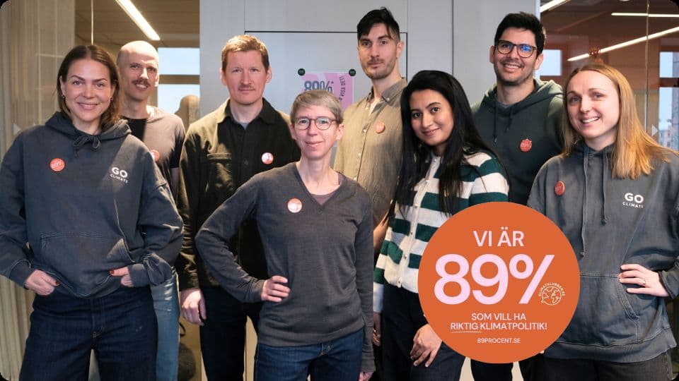 GoClimate's team campaigning