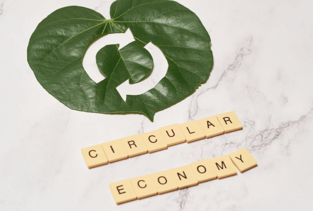 Ett löv med en cirkulär symbol, under plattor med bokstäverna "circular economy".
