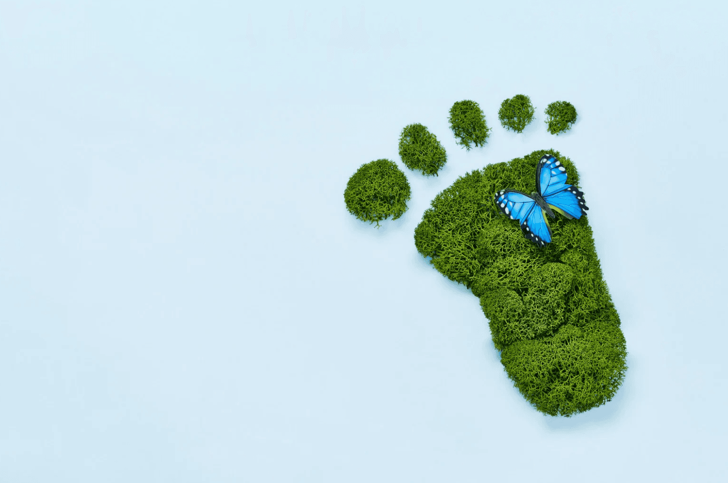 A footprint.