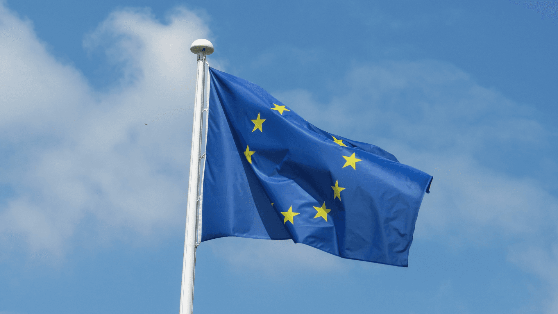 EU flagga.