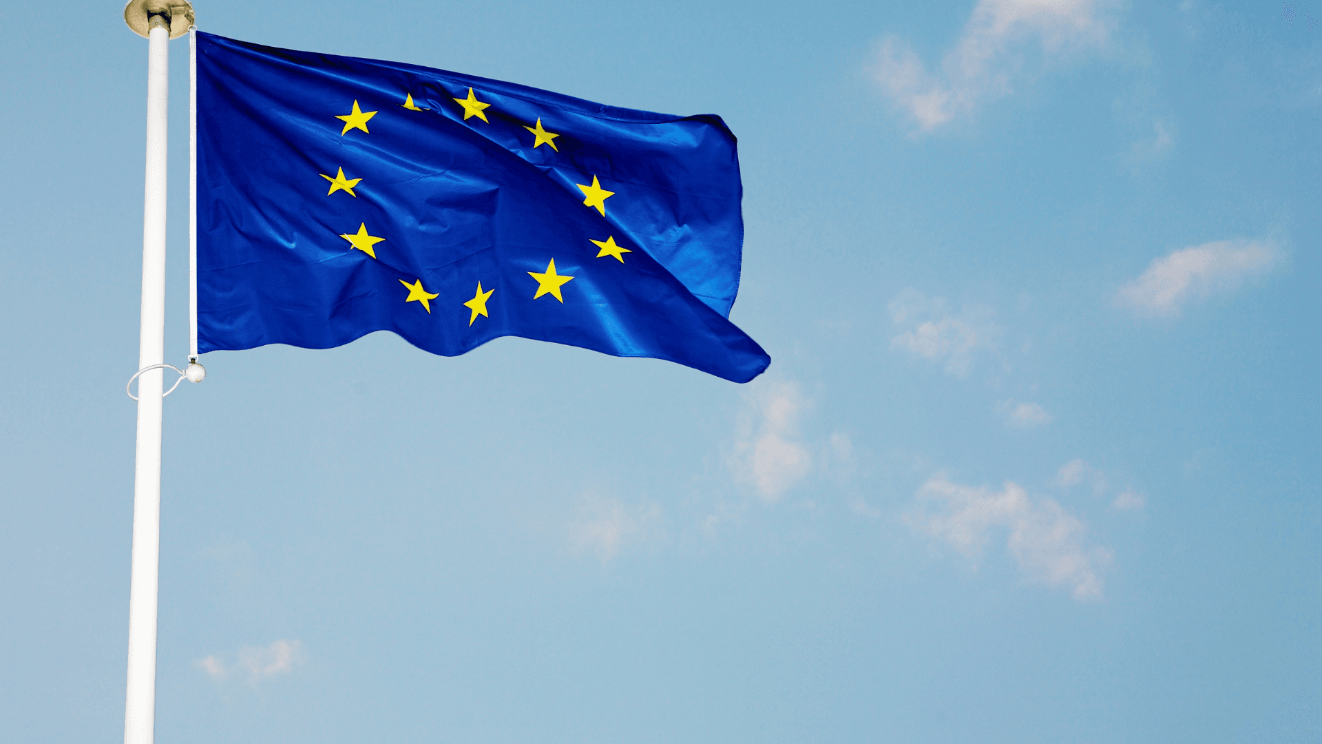 EU flag.