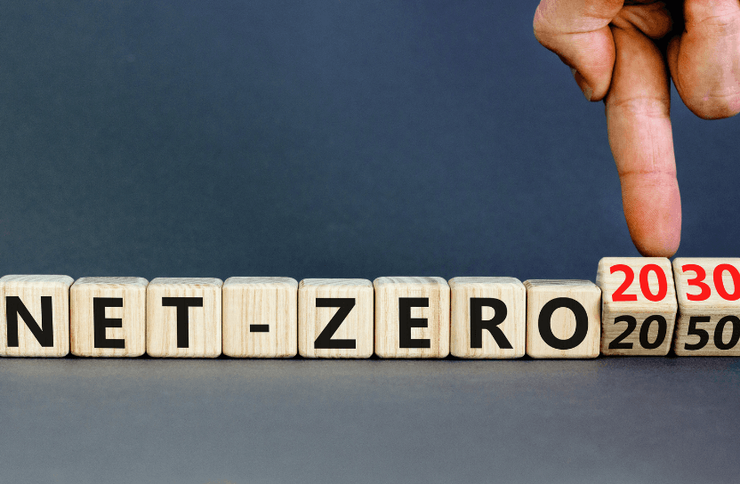 Cubes with the words "net zero 2030/2050".