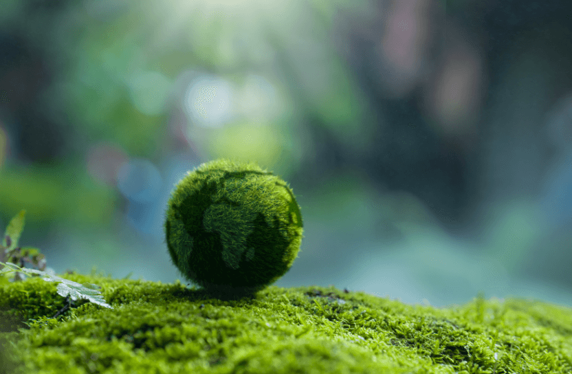 A small globe.