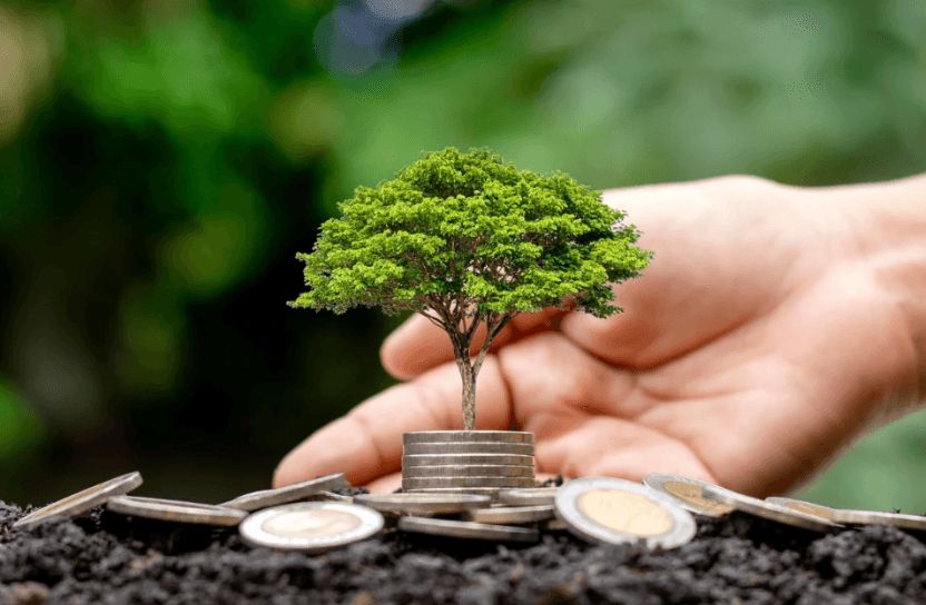 Trees on top of a pile of coins.