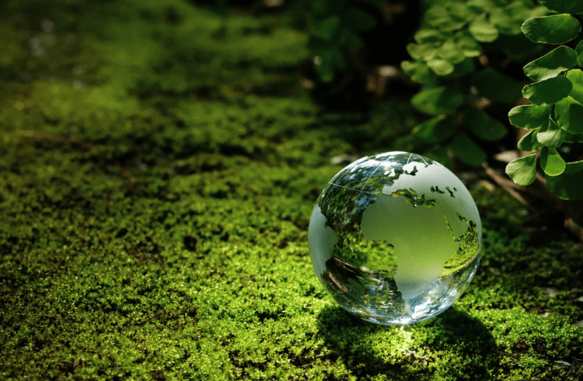 Green globe.