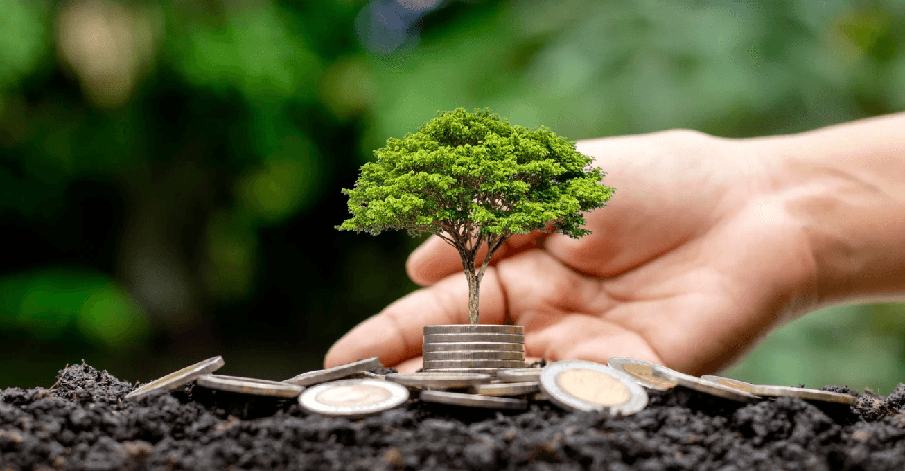 A small tree on top of a stack of coins.