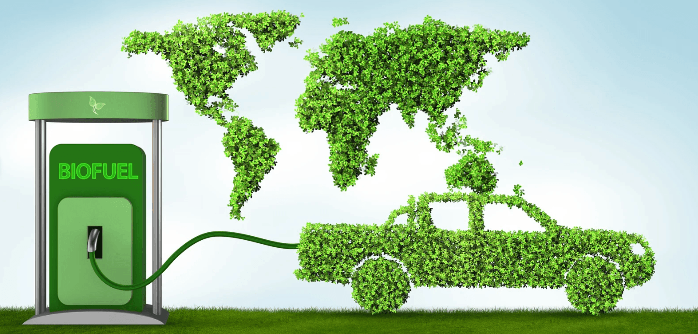Green leafs.