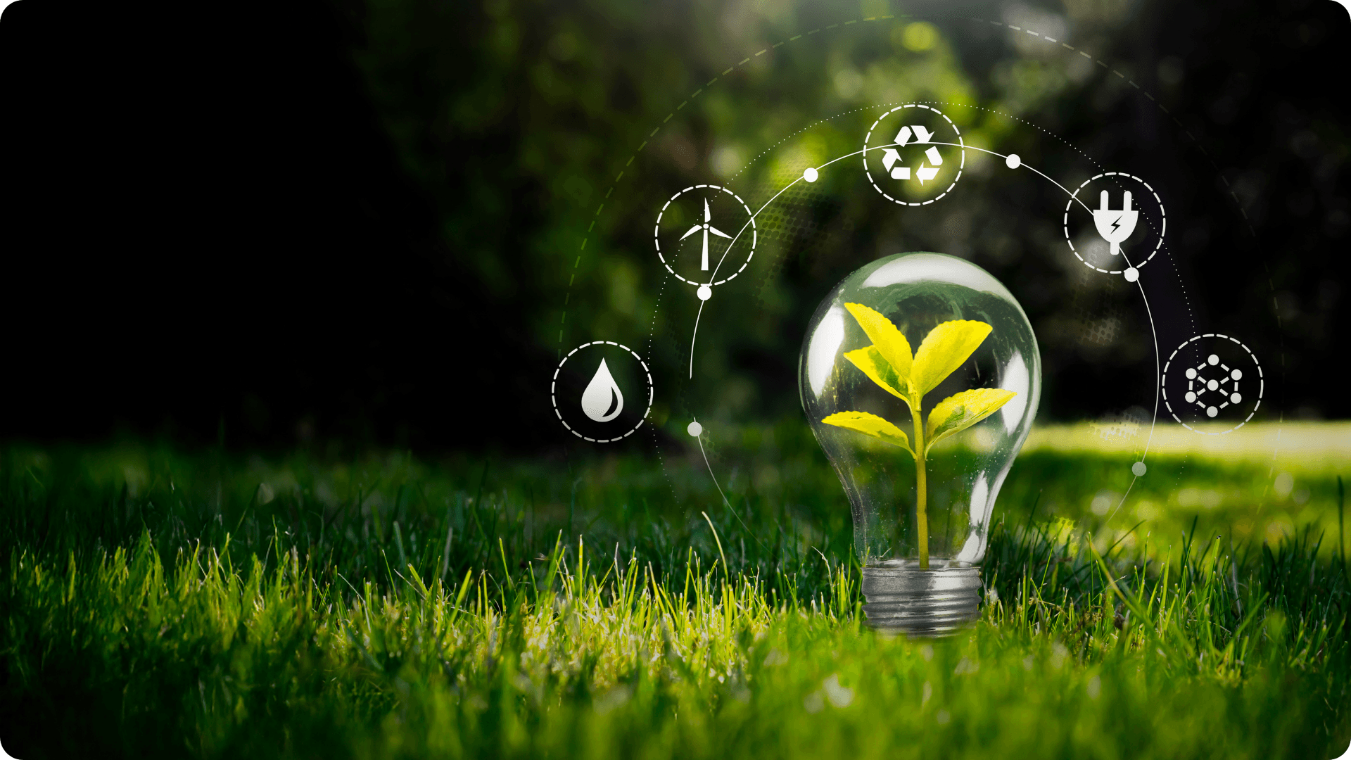 Light bulb and sustainability symbols.