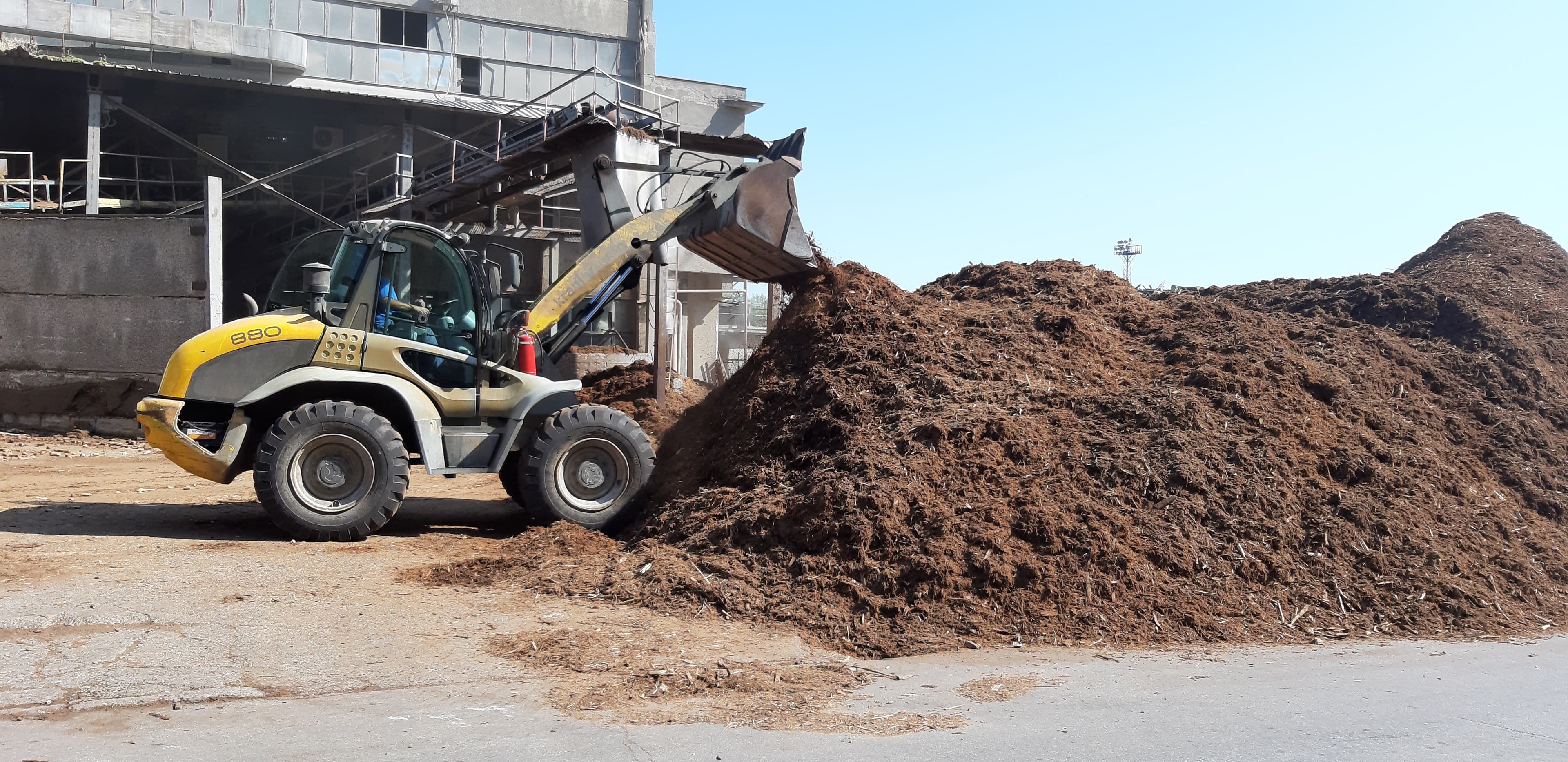 Svilosa Biomass Project