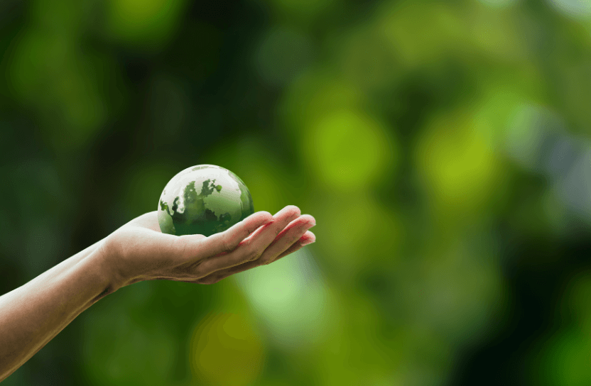 Hand holding a green globe.