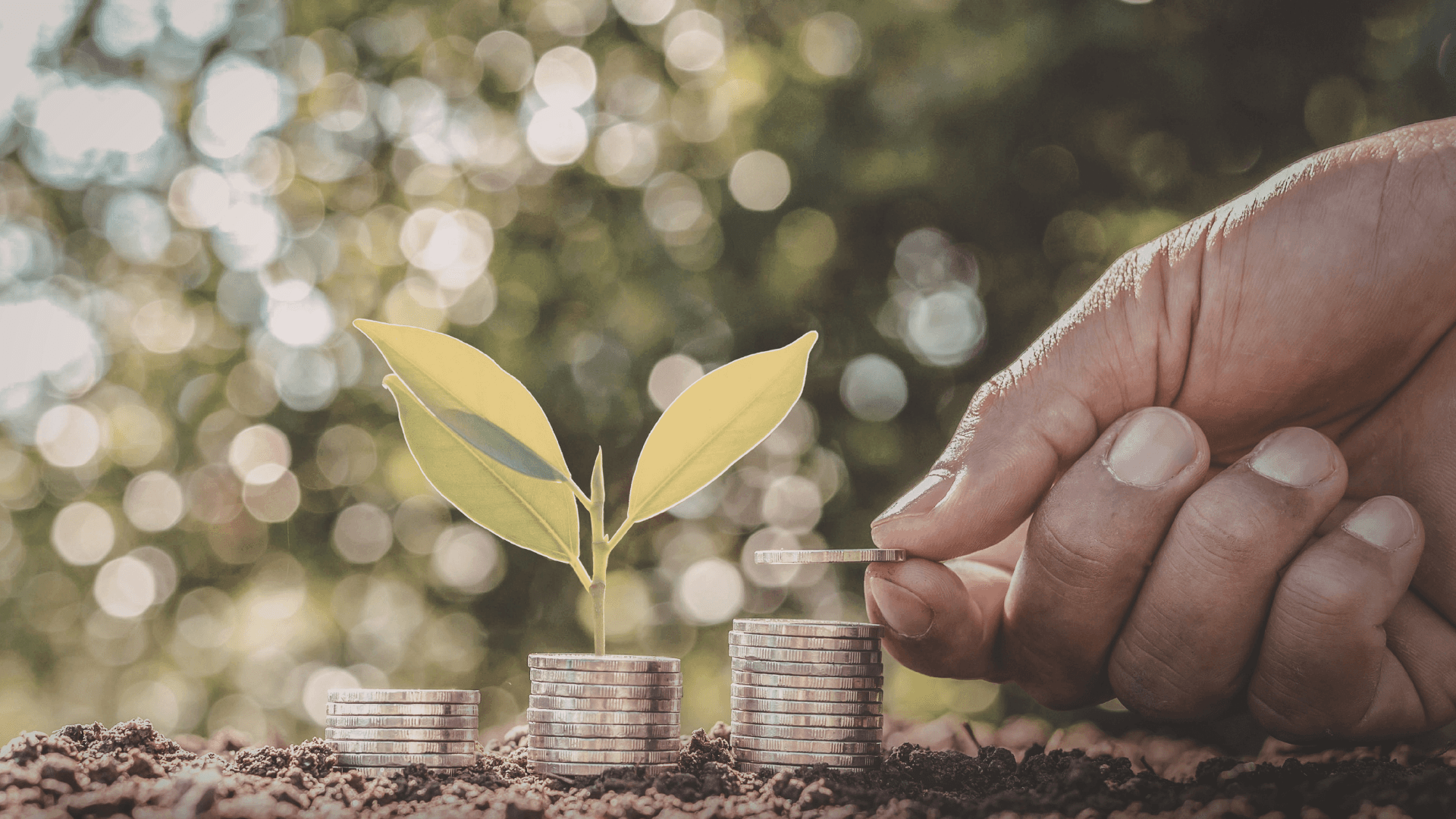 Piles of coins and growing plants.