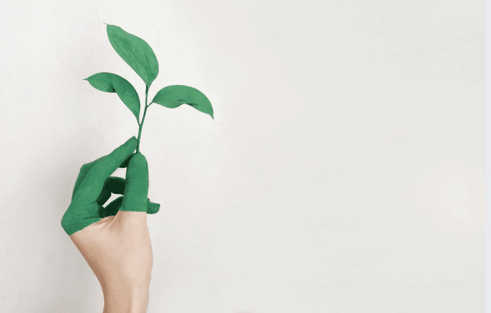 Green nature background