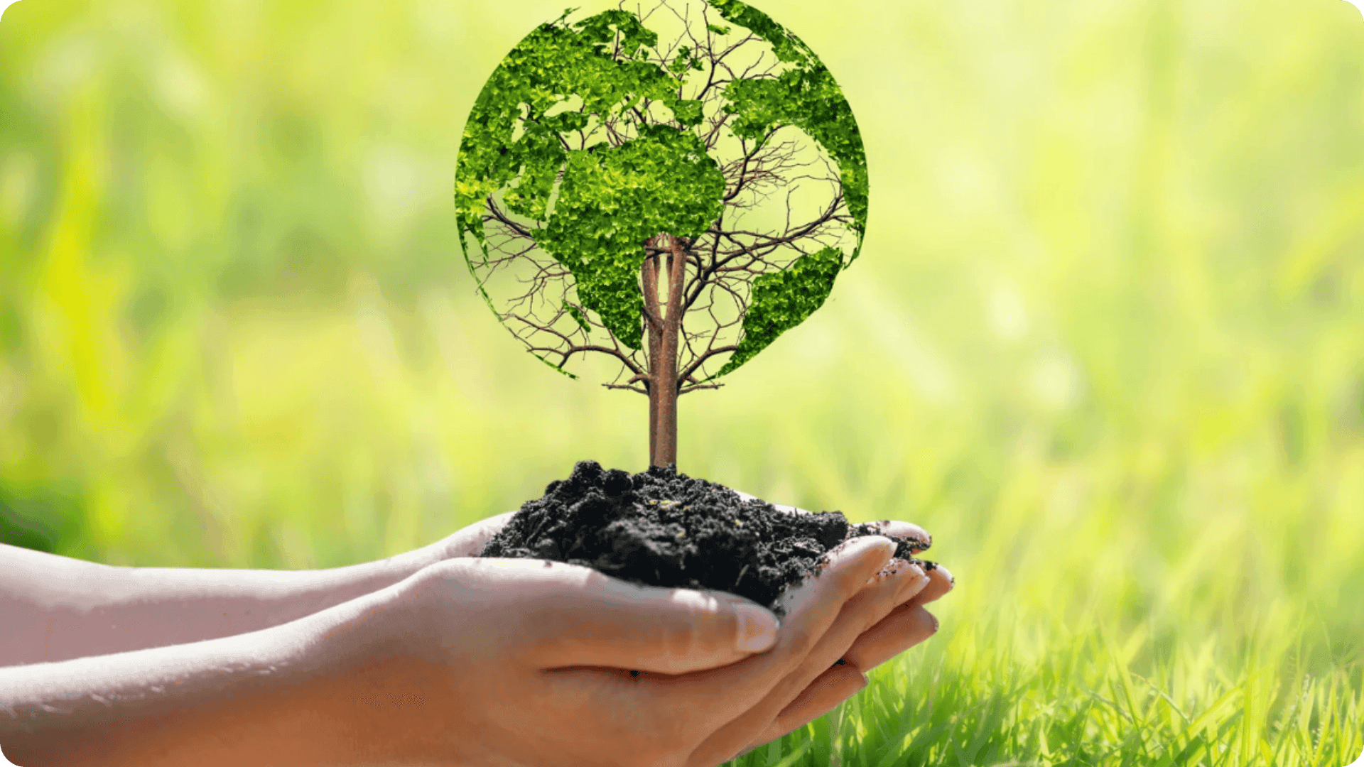 Hands holding a tree.