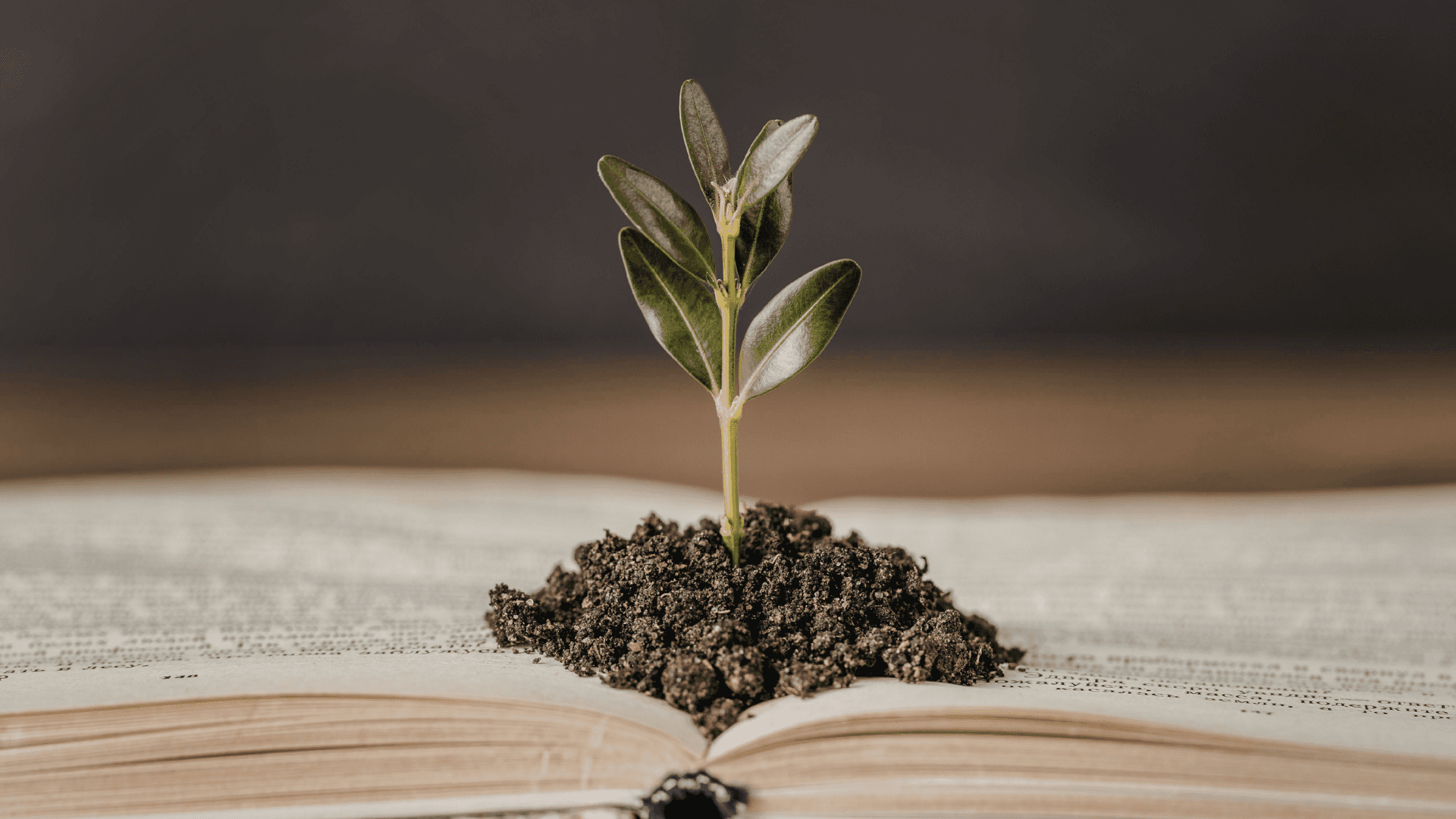 Growing in a book.