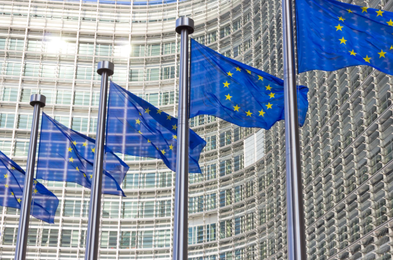 EU flags