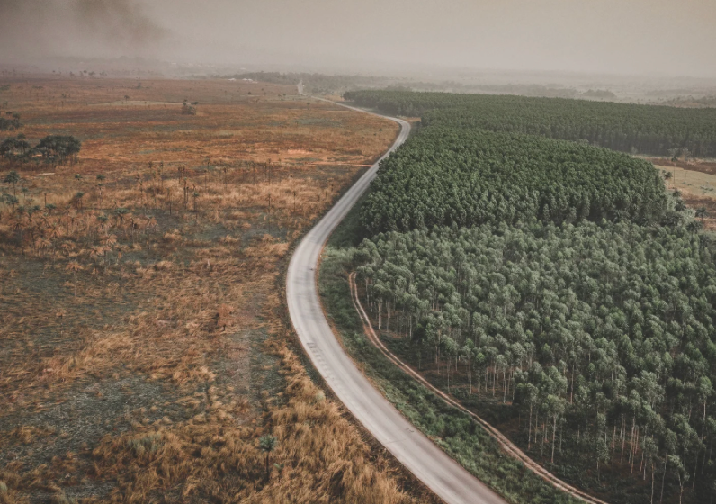 Road.