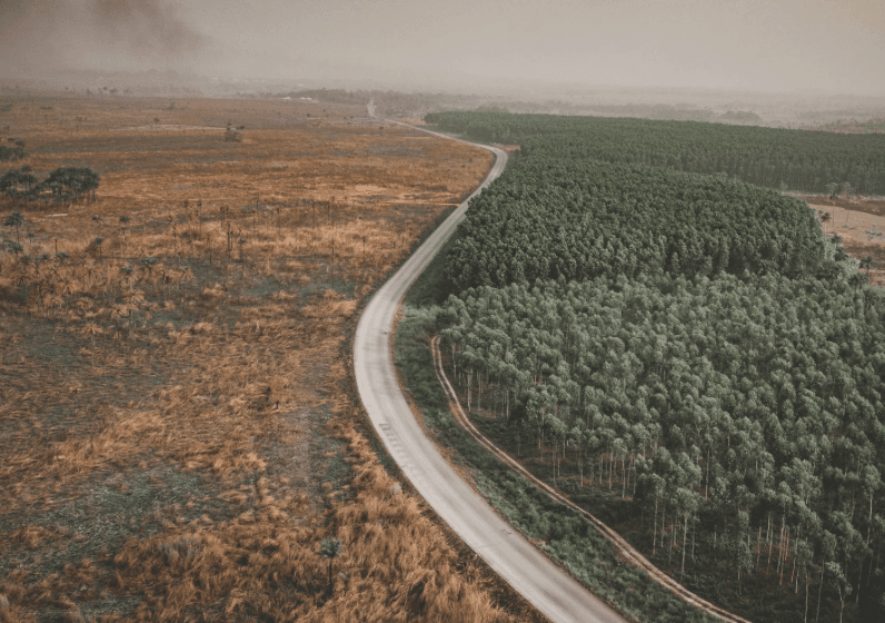 Road.