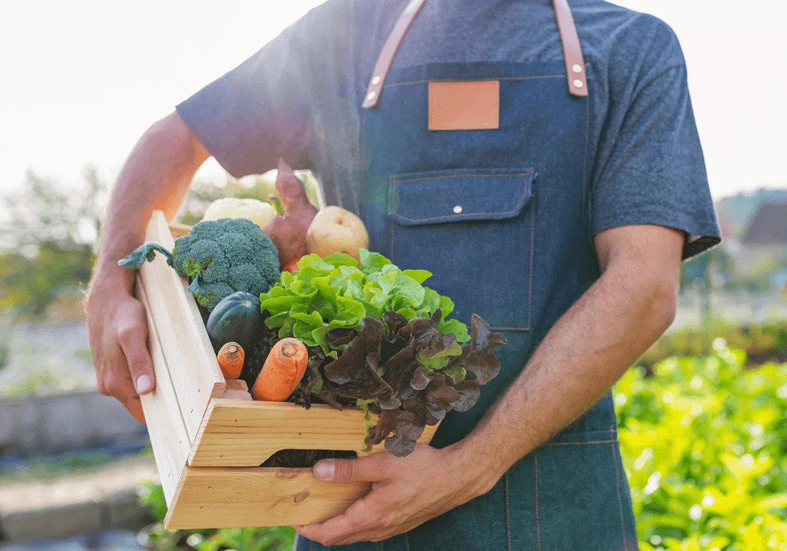 Person holding vegetables.