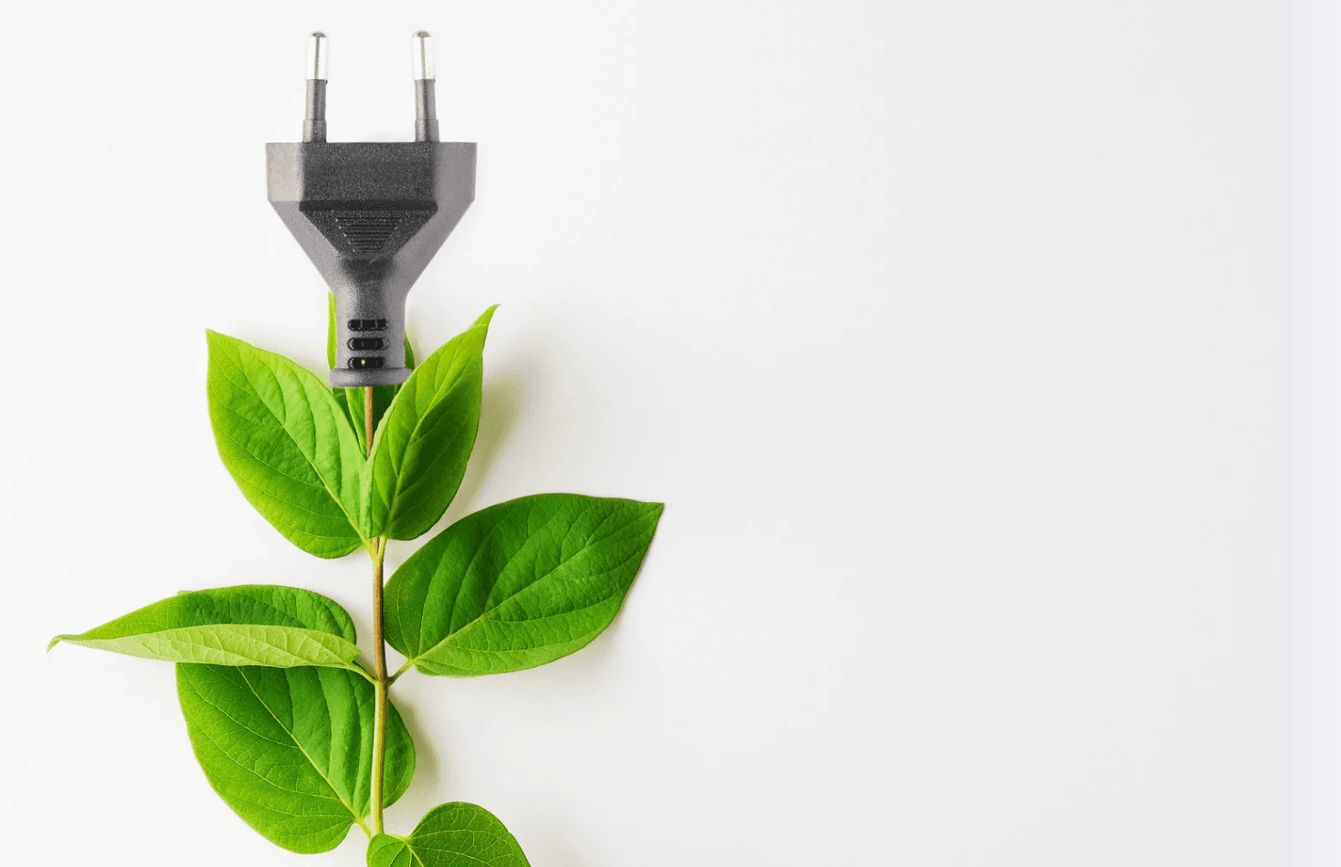 Cord with leafs.