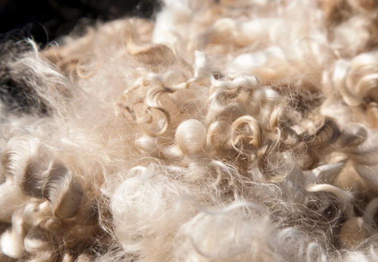 Wool.