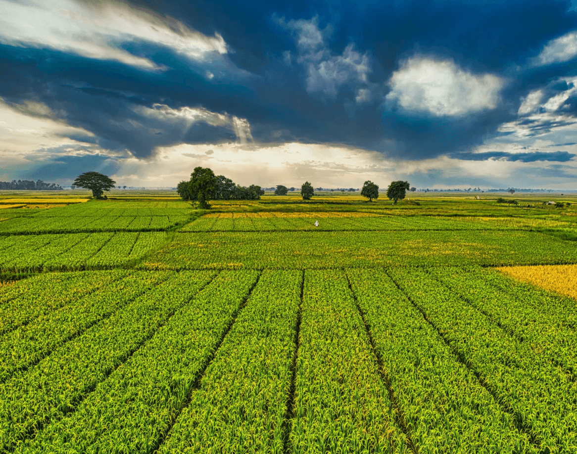 agriculture.