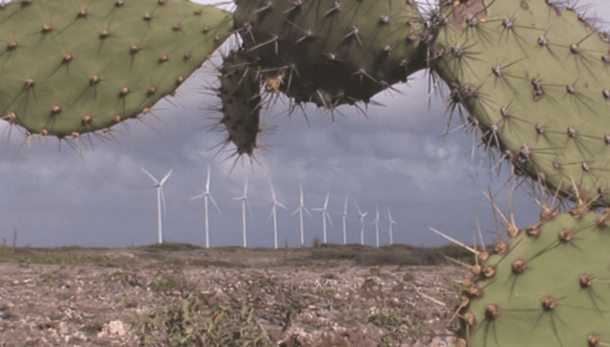 More support to wind energy in Aruba