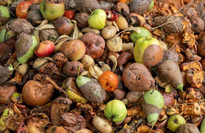 Rotten fruit.