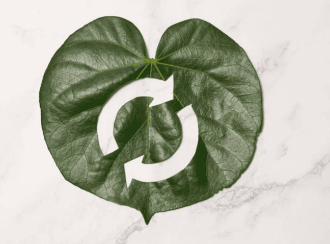 A leaf with a circularity symbol.
