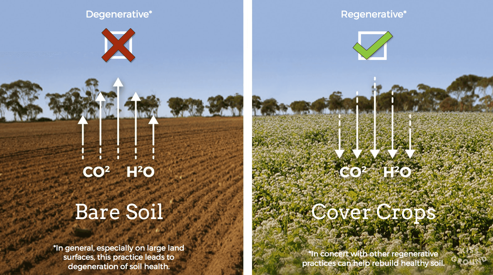 kisstheground-bare-soil-cover-crops