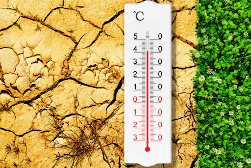 A thermometer on dry ground.