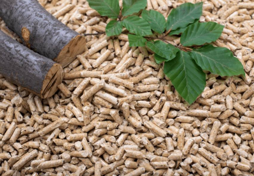 Pellets.