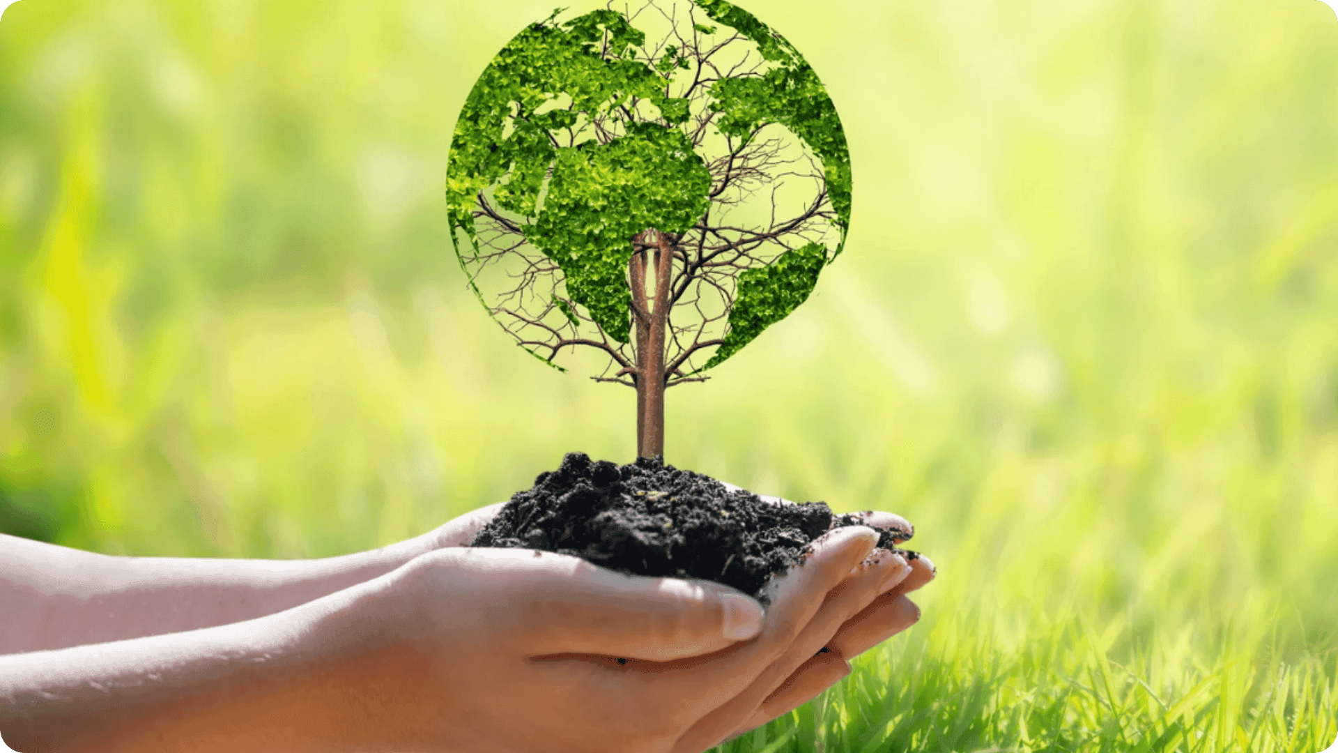 Hands holding a tree.