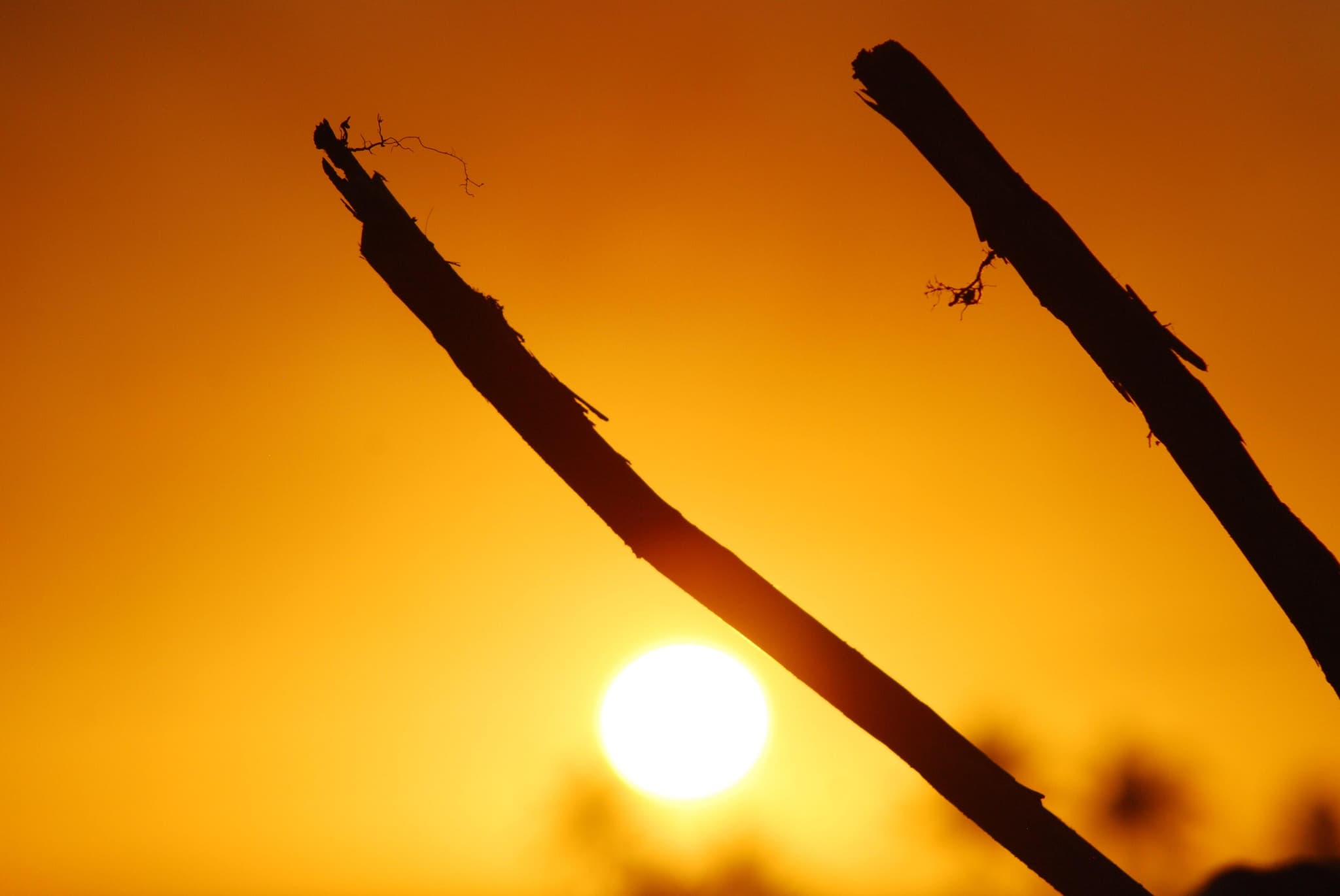 xavier-coiffic-KCYPgBWZVJI-unsplash-1