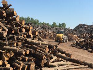 Svilosa Biomass Project