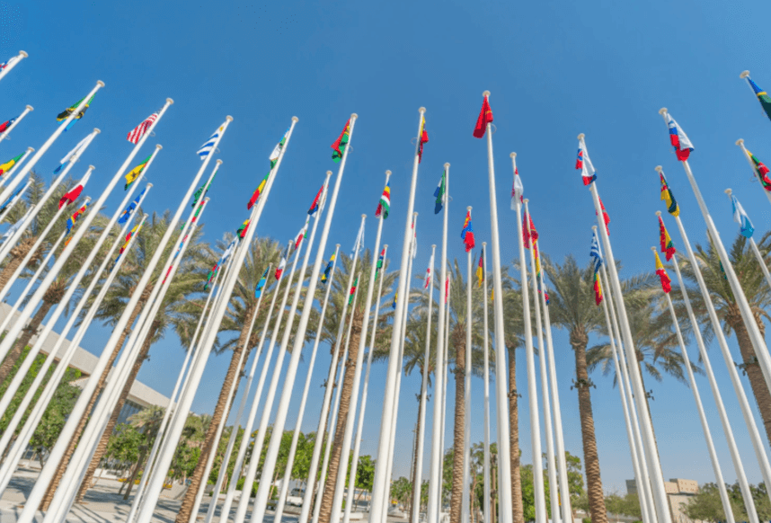 Lots of different flag on flag poles.