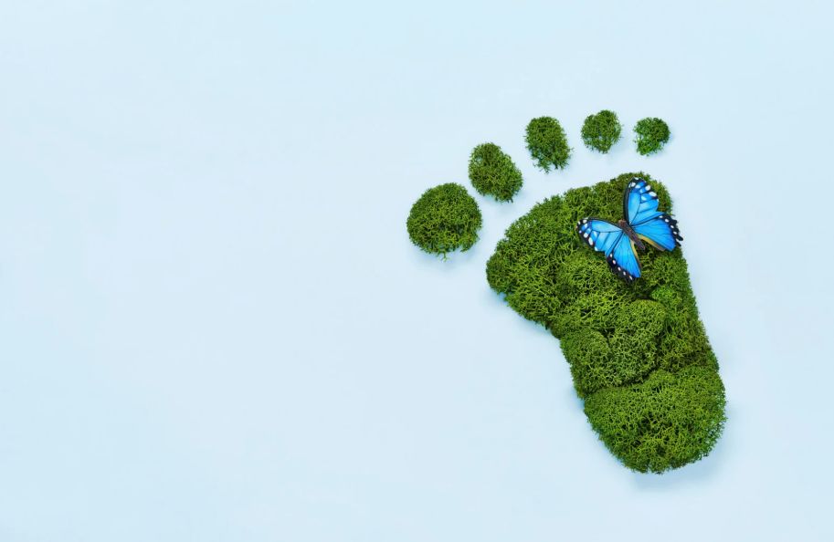 sustainability-as-an-investment.jpg